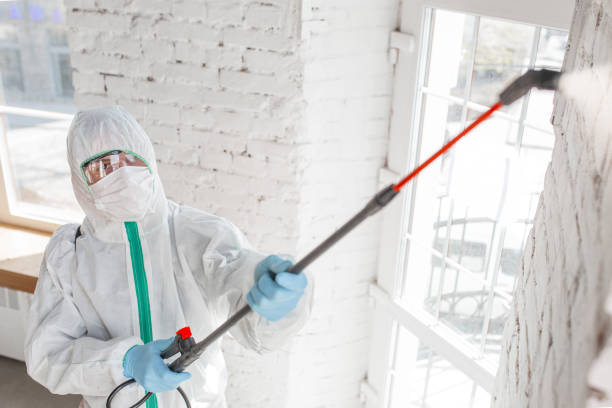 Best Mold Damage Restoration  in Central Point, OR