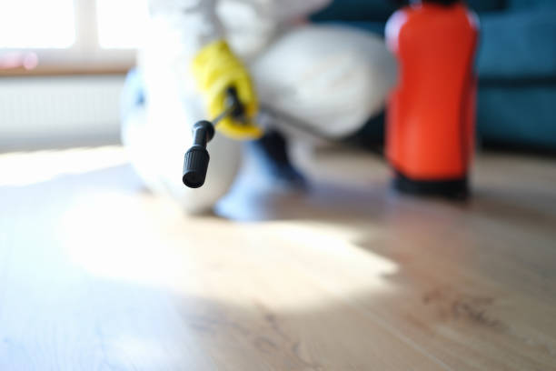 Best Forensic Mold Investigation  in Central Point, OR